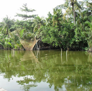 Meet your Posher, Dai